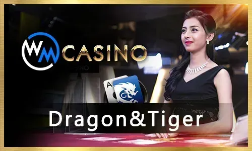 Exciting PHPVIP Bingo Rewards